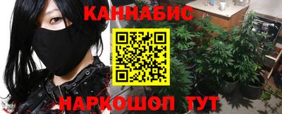 прущие грибы Краснодар