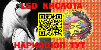 прущие грибы Краснодар