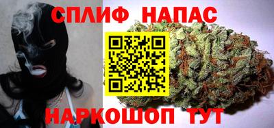 прущие грибы Краснодар