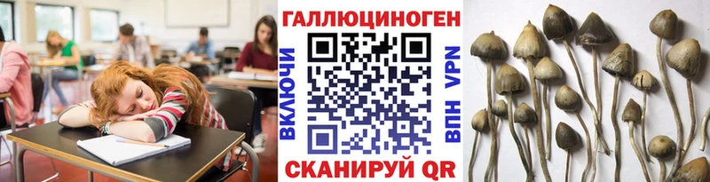 наркошоп  Кстово  Галлюциногенные грибы Cubensis 