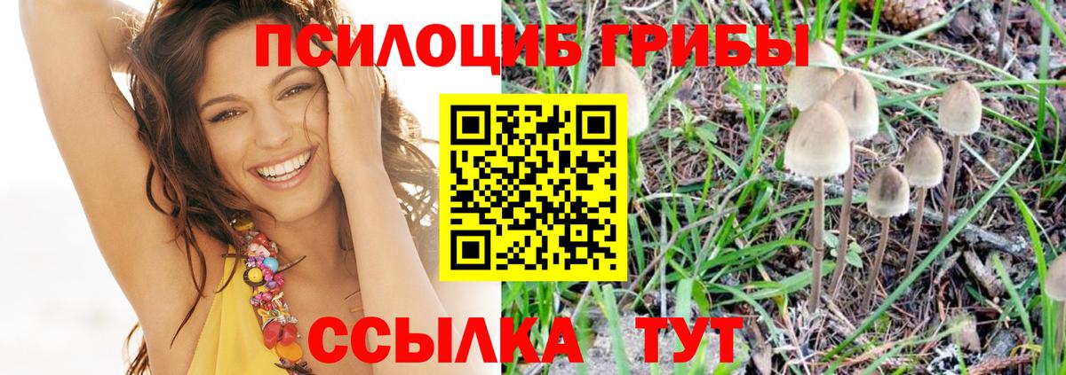 Псилоцибиновые грибы Magic Shrooms  сколько стоит  Кстово  Вход с VPN 